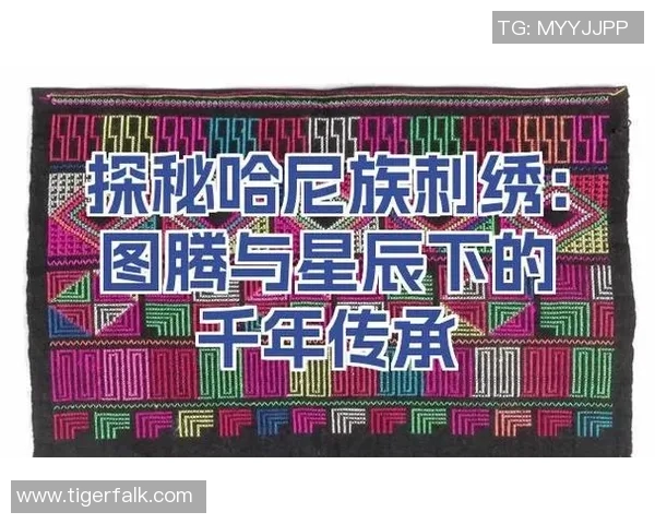 哈萨克族的历史文化传承与现代社会发展探析