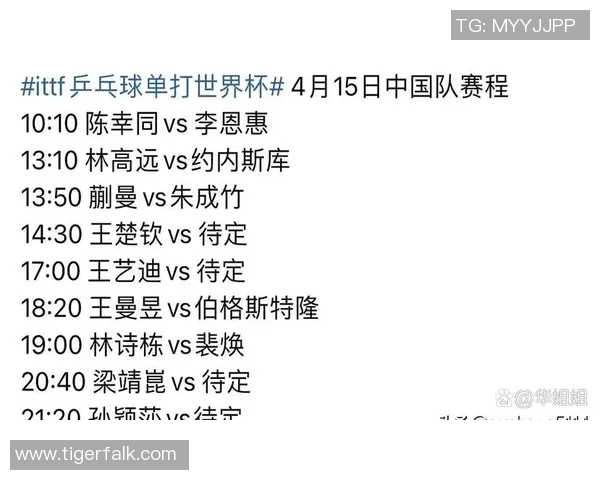 全新赛程安排解析：全面了解各大赛事的时间表与关键对决