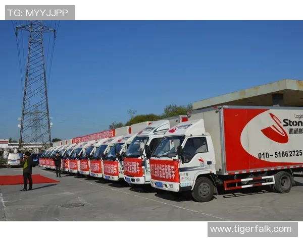 搬家全攻略：如何高效整理物品、选择搬家公司及节省搬家费用的实用技巧