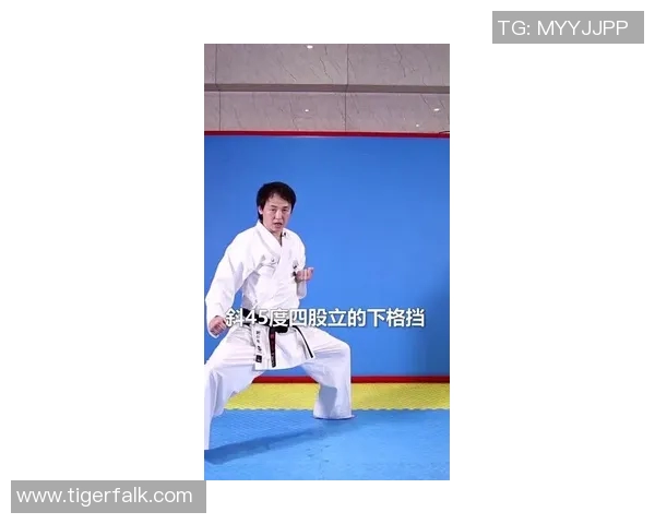刘敏专访:从初学者到飞盘高手的成长之路与心路历程回顾