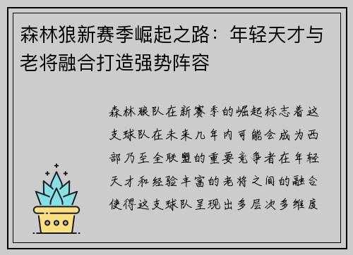 森林狼新赛季崛起之路：年轻天才与老将融合打造强势阵容