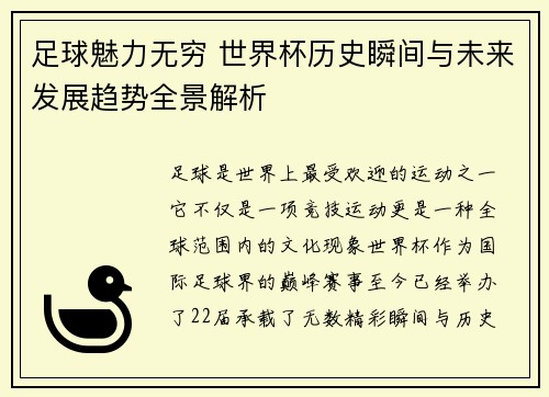 足球魅力无穷 世界杯历史瞬间与未来发展趋势全景解析