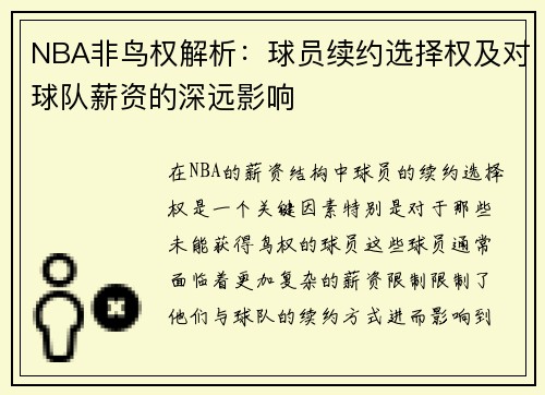NBA非鸟权解析：球员续约选择权及对球队薪资的深远影响