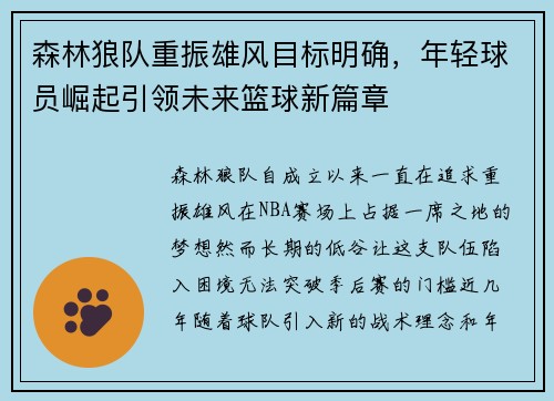 森林狼队重振雄风目标明确，年轻球员崛起引领未来篮球新篇章