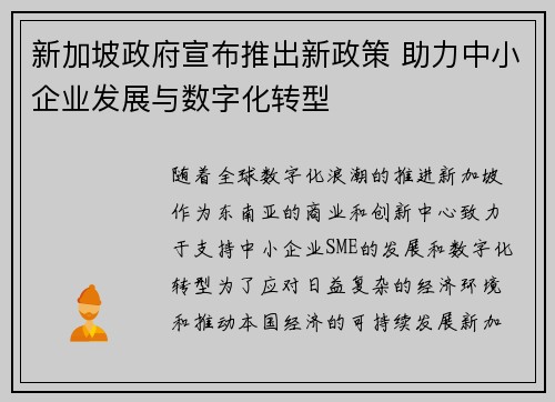 新加坡政府宣布推出新政策 助力中小企业发展与数字化转型